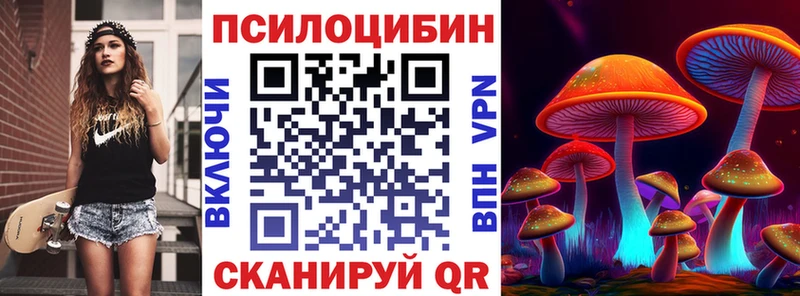 Купить  Ак-Довурак  Псилоцибиновые грибы Magic Shrooms 
